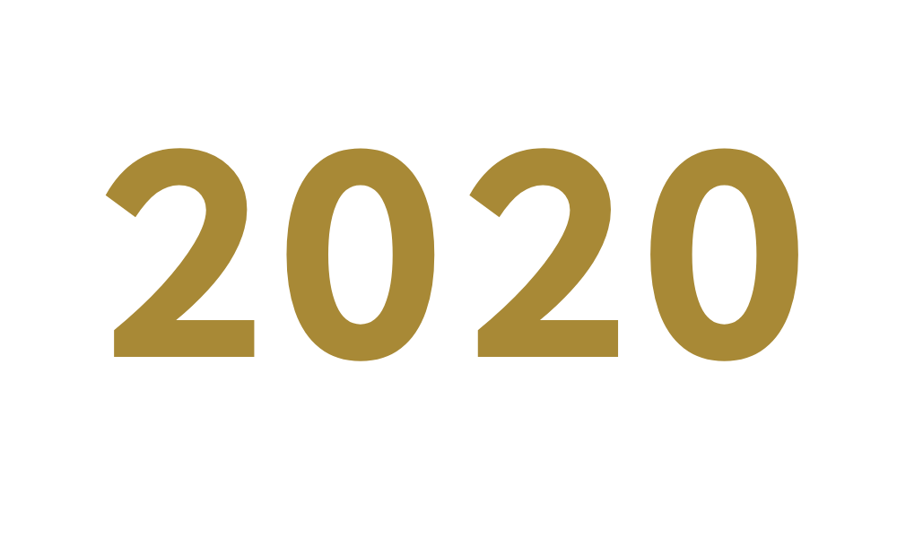 A (wild!) year in review