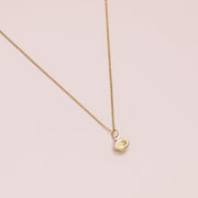 taudrey luxe: Protect Your Energy Necklace (14K Gold)