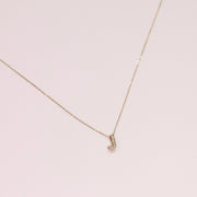taudrey luxe: Worth it Necklace (14K Gold)