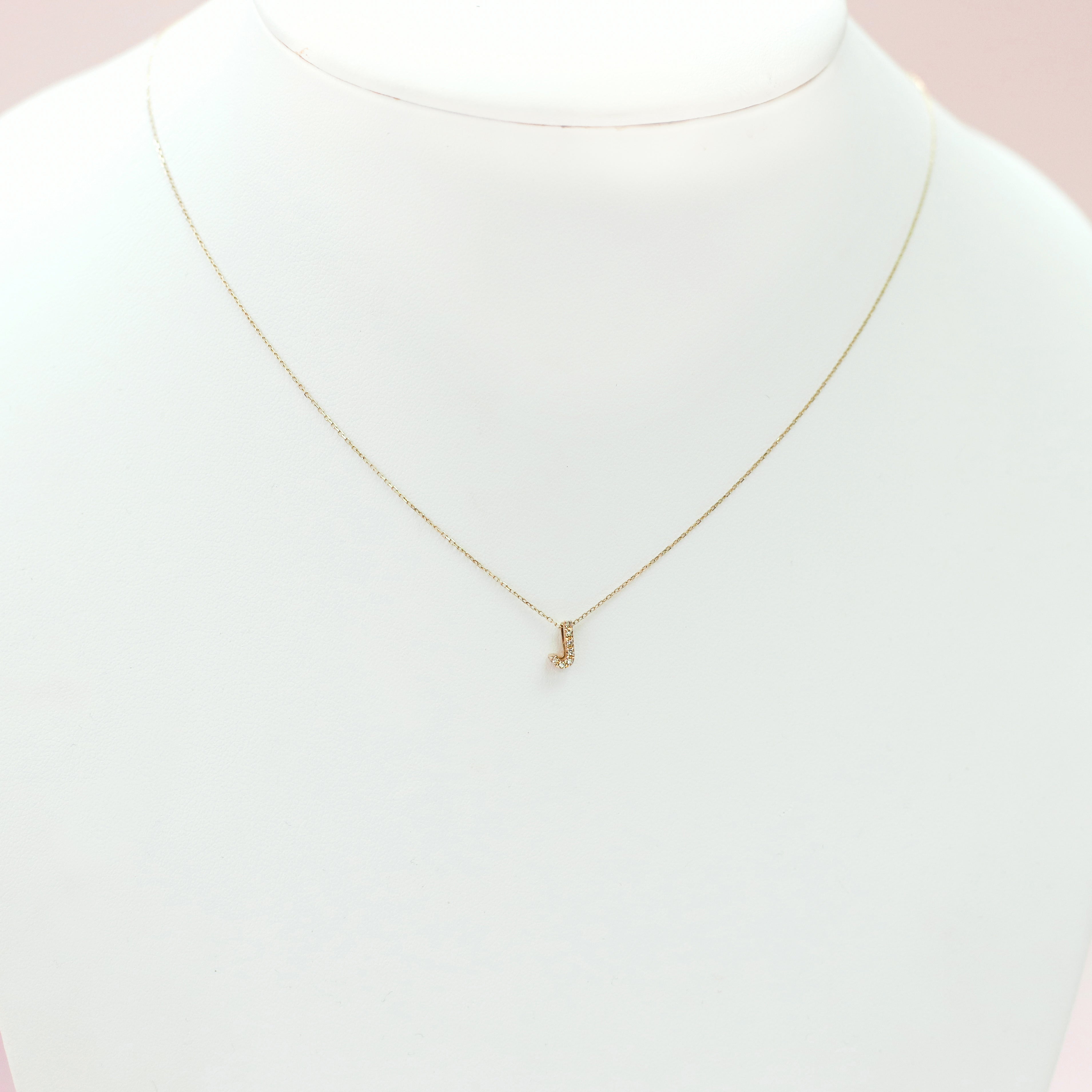 taudrey luxe: Worth it Necklace (14K Gold)