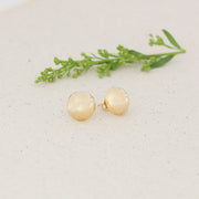 taudrey king tut gold studs hypoallergenic