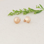 taudrey king tut rose gold studs hypoallergenic