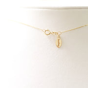 taudrey luxe: Worth it Necklace (14K Gold)