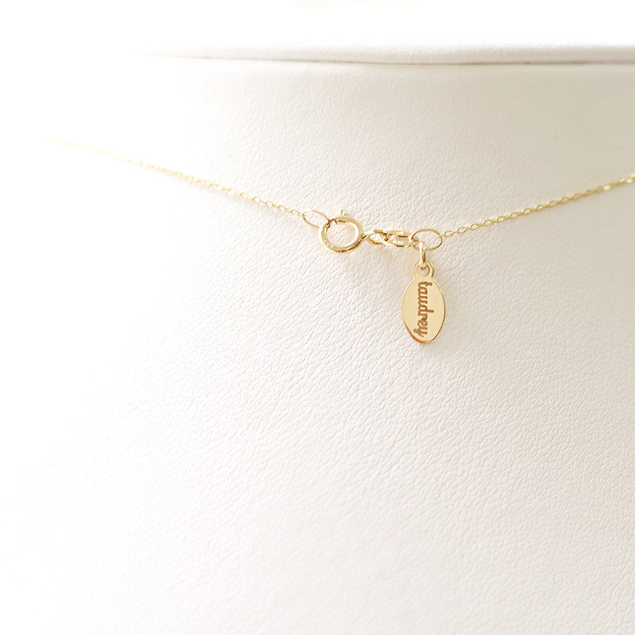 taudrey luxe: Worth it Necklace (14K Gold)