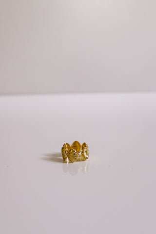 The Sandbar Ring