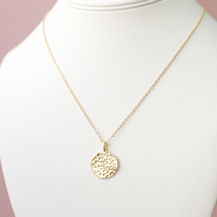 #6 Sample Textured Coin Necklace