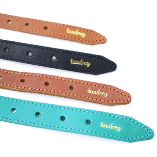A Girl’s Best Friend Dog Collar