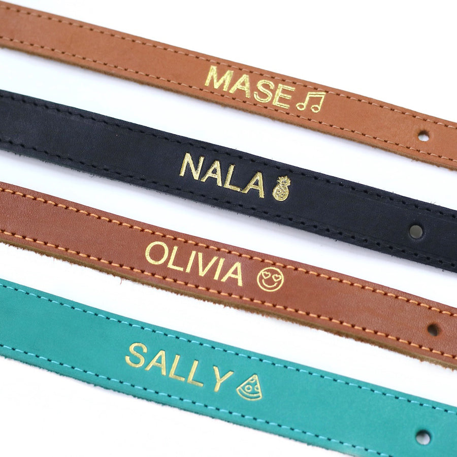 A Girl’s Best Friend Dog Collar