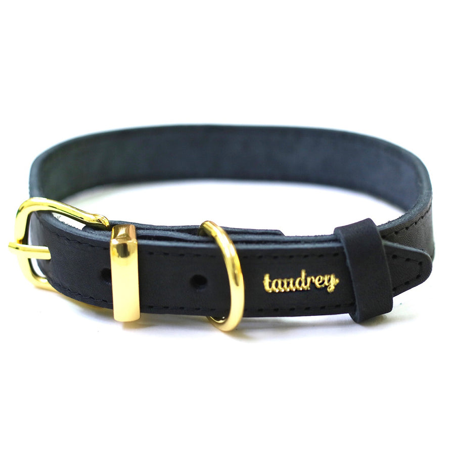 A Girl’s Best Friend Dog Collar