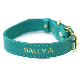 A Girl’s Best Friend Dog Collar