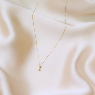 taudrey luxe necklace