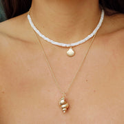 Shell-abrate Necklace