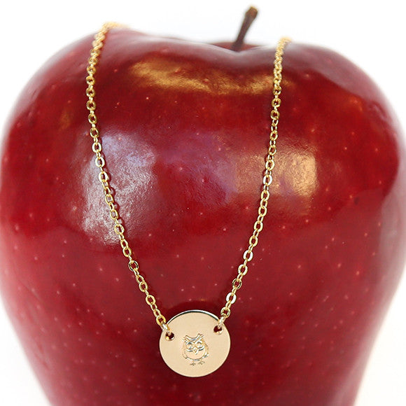 taudrey teachers pet gold necklace teacher appreciation gift owl stamp